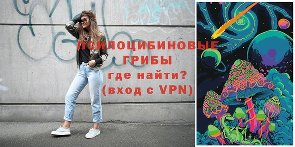 тгк Алзамай