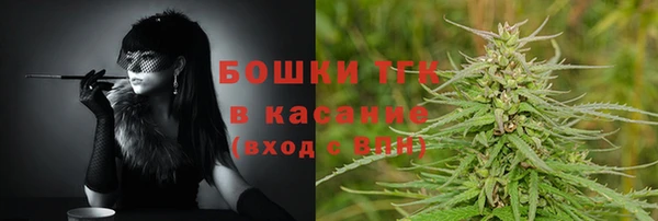 тгк Алзамай