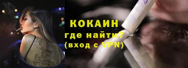 прущие грибы Новодвинск