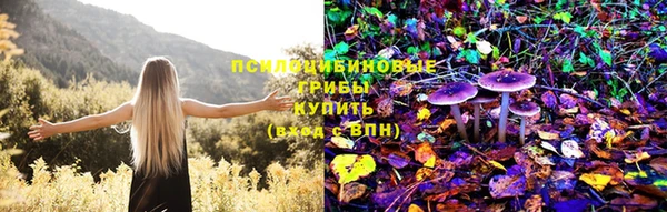 тгк Алзамай