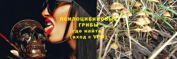 тгк Алзамай