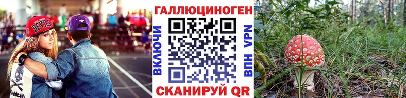 Галлюциногенные грибы GOLDEN TEACHER  blacksprut ссылка  Чистополь 
