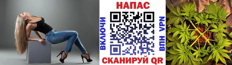 Бошки марихуана SATIVA & INDICA  Чистополь 